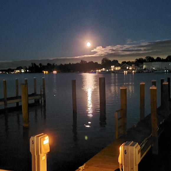 ⚜ Meet ⚜ your Posher, Bren ⚜ Posh Ambassador ⚜ - Picture 13 of 16